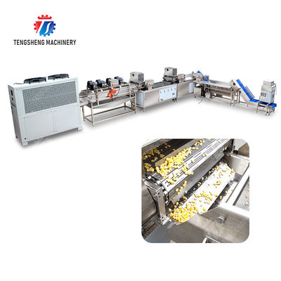 Streamline Your Manufacturing Process with Our Advanced Fruit And Vegetable Processing Line