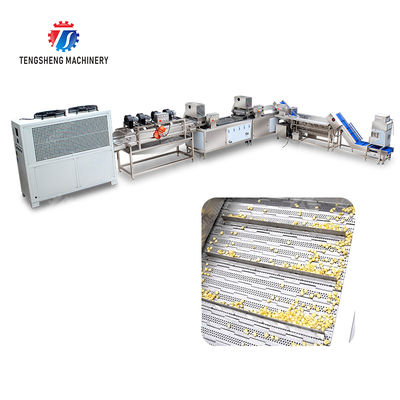 Streamline Your Manufacturing Process with Our Advanced Fruit And Vegetable Processing Line