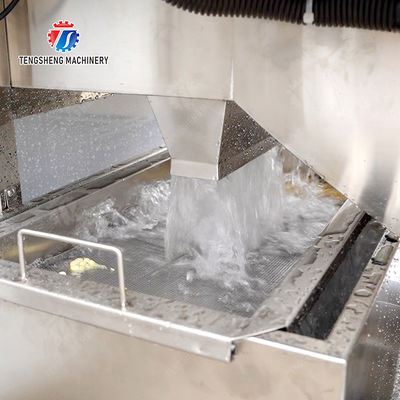 Streamline Your Manufacturing Process with Our Advanced Fruit And Vegetable Processing Line