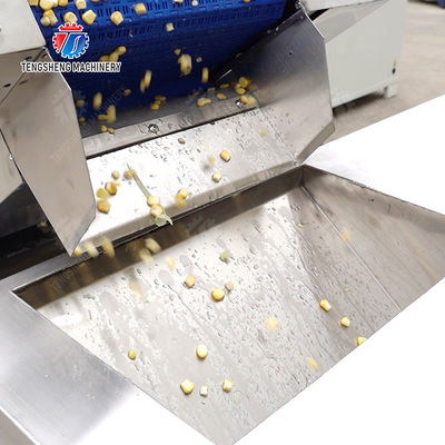 Streamline Your Manufacturing Process with Our Advanced Fruit And Vegetable Processing Line