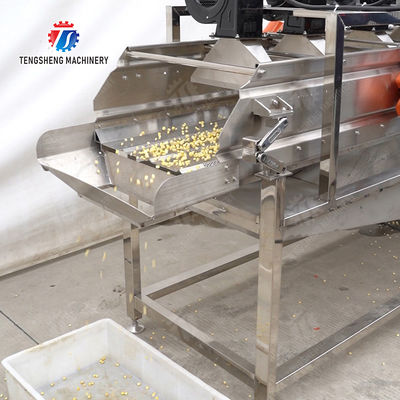 Streamline Your Manufacturing Process with Our Advanced Fruit And Vegetable Processing Line