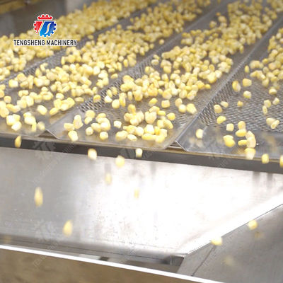 Streamline Your Manufacturing Process with Our Advanced Fruit And Vegetable Processing Line