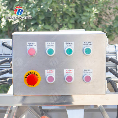 Streamline Your Manufacturing Process with Our Advanced Fruit And Vegetable Processing Line