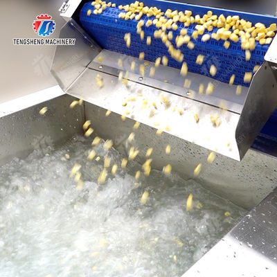 Streamline Your Manufacturing Process with Our Advanced Fruit And Vegetable Processing Line