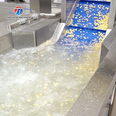 Streamline Your Manufacturing Process with Our Advanced Fruit And Vegetable Processing Line