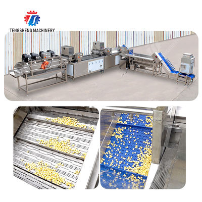 Streamline Your Manufacturing Process with Our Advanced Fruit And Vegetable Processing Line