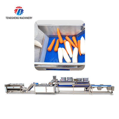 Enhance Your Production with Our State-of-the-Art Fruit And Vegetable Processing Line fruit and vegetable processing machinery