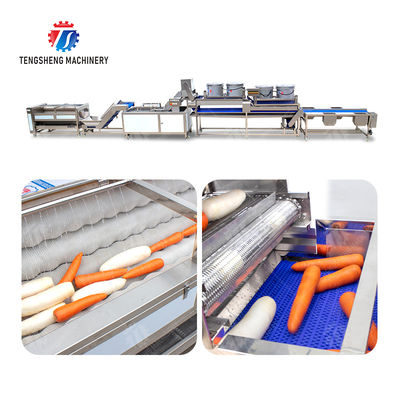 Enhance Your Production with Our State-of-the-Art Fruit And Vegetable Processing Line fruit and vegetable processing machinery