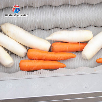 Enhance Your Production with Our State-of-the-Art Fruit And Vegetable Processing Line fruit and vegetable processing machinery
