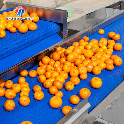 vegetable drying equipment	Fruit and vegetable selection  washing and drying production line Fruit Vegetable FOOD processing production Machine fruit juice processing machines