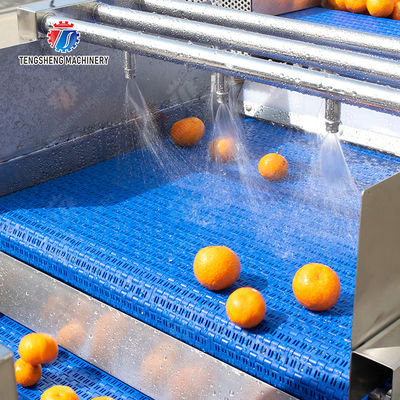 1500KG/H Orange Selection Fruit And Vegetable Processing Line