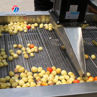 Large-scale fruit and vegetable washing,drying and cutting production line Fruit Vegetable FOOD processing production Machine