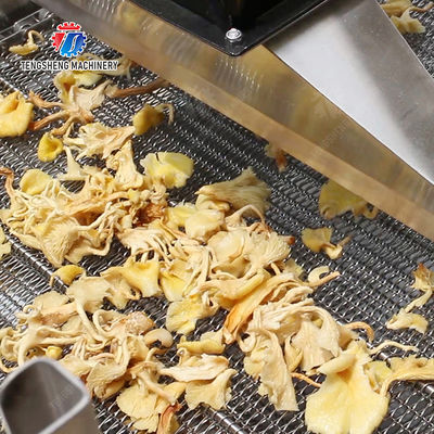 Large-scale fruit and vegetable washing,drying and cutting production line Fruit Vegetable FOOD processing production Machine