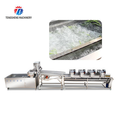Fruit and vegetable washing and vibrating drying production line Fruit Vegetable FOOD processing production Machine Versatile and Durable Fruit Vegetable Processing Line for Your Business Processin