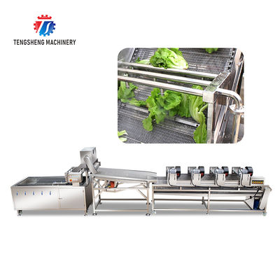 Fruit and vegetable washing and vibrating drying production line Fruit Vegetable FOOD processing production Machine Versatile and Durable Fruit Vegetable Processing Line for Your Business Processin