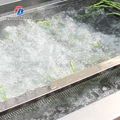 1000KG/H Fruit And Vegetable Processing Line Bubble Washing And Vibrating Drying