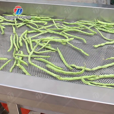 Fruit and vegetable washing and vibrating drying production line Fruit Vegetable FOOD processing production Machine Versatile and Durable Fruit Vegetable Processing Line for Your Business Processin