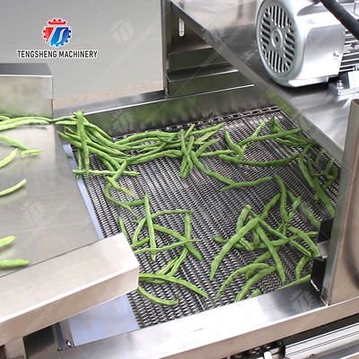 Fruit and vegetable washing and vibrating drying production line Fruit Vegetable FOOD processing production Machine Versatile and Durable Fruit Vegetable Processing Line for Your Business Processin