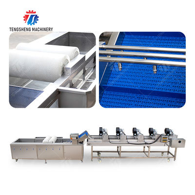Fruits cleaning and drying production line Fruit Vegetable FOOD processing production Machine