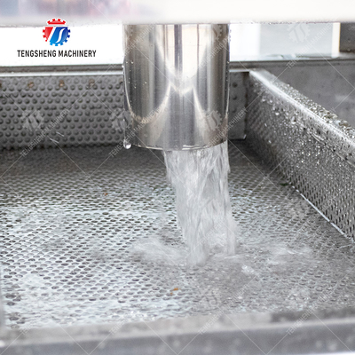 Vegetable and fruit brush and washing production line Fruit Vegetable FOOD processing production Machine