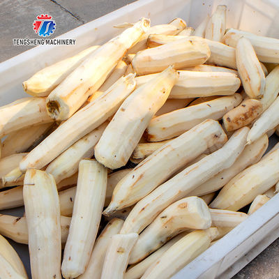 Fruit Orange Vegetable Leaves Vegetables sward beans  soybeans  green beans  chickpeas beans  red beans  mung beans  green peas beans canning Potato Screw shaft brush machine