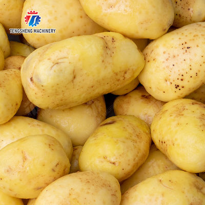 Fruit Orange Vegetable Leaves Vegetables sward beans  soybeans  green beans  chickpeas beans  red beans  mung beans  green peas beans canning Potato Screw shaft brush machine