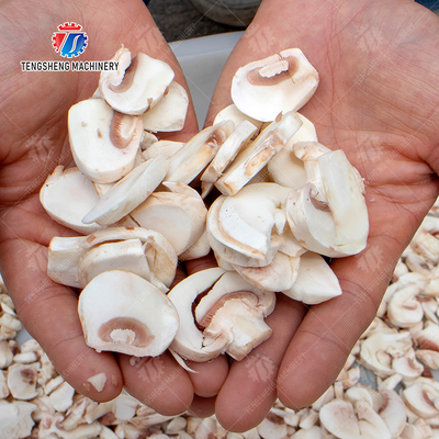 Mushroom slicer Shiitake mushrooms Cutting processing production Machine