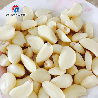 Garlic splitting machine minced garlic processing production Line