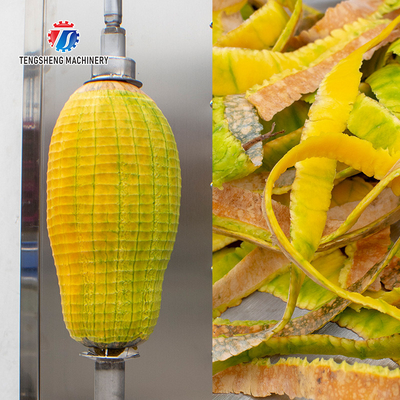 1.0KW 120KG Direct selling vertical single knife peeler pumpkin peeler stainless steel