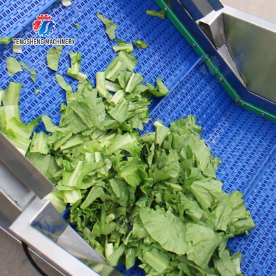 vegetable drying equipment	Fruit and vegetable selection  washing and drying production line Fruit Vegetable FOOD processing production Machine fruit juice processing machines