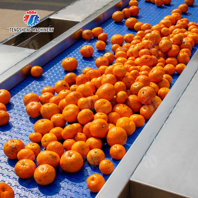 vegetable drying equipment	Fruit and vegetable selection  washing and drying production line Fruit Vegetable FOOD processing production Machine fruit juice processing machines