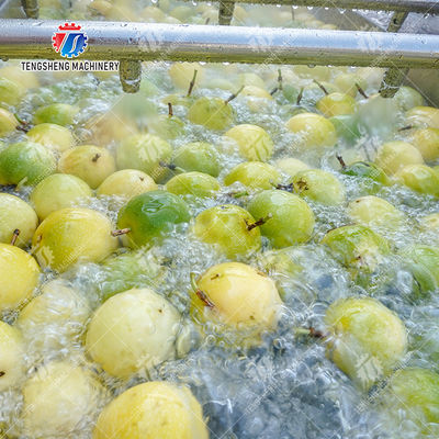 Passion Fruit Bubble Cleaning And Drying Sorting Production Line