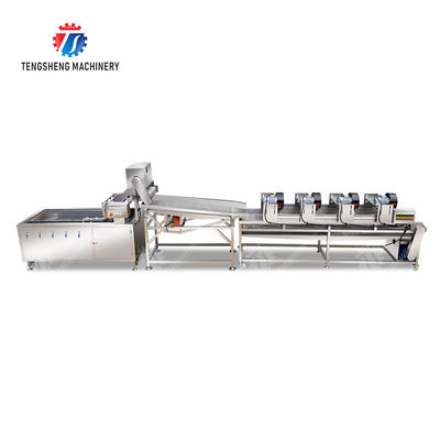 Fruit and vegetable washing and vibrating drying production line Fruit Vegetable FOOD processing production Machine Versatile and Durable Fruit Vegetable Processing Line for Your Business Processin