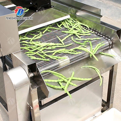 Fruit and vegetable washing and vibrating drying production line Fruit Vegetable FOOD processing production Machine Versatile and Durable Fruit Vegetable Processing Line for Your Business Processin