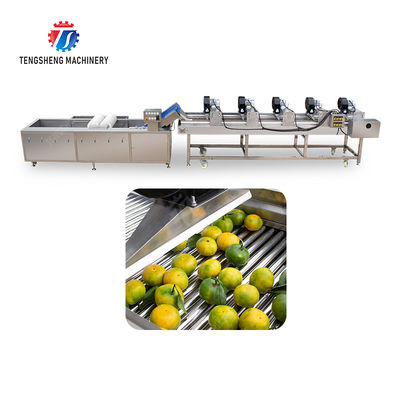 Fruits cleaning and drying production line Fruit Vegetable FOOD processing production Machine