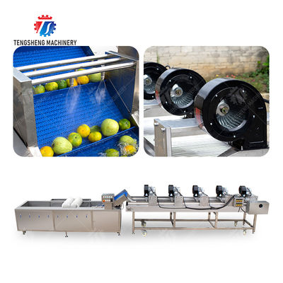 Fruits cleaning and drying production line Fruit Vegetable FOOD processing production Machine