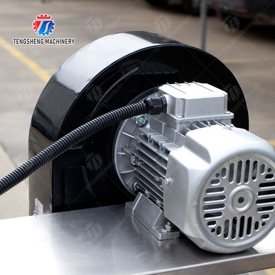 Customization Ozone Sterilization Fruit And Vegetable Processing Line Dry Detoxification