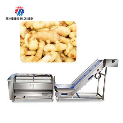 Brush washing and hoisting production line Ginger Potato Carrot Taro Sweet potato Yam processing production Machine