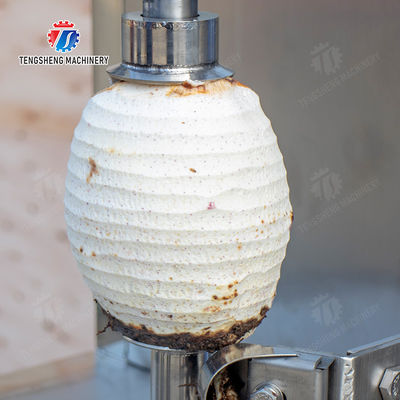 papaya chieh-qua pumpkin wax gourd pineapple Vertical single knife peeling machine watermelon Hami Melon Peeling polishing