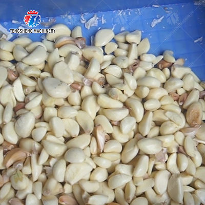 Garlic processing production Peeling Machine minced garlic production line