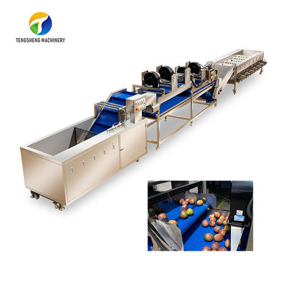 텡성 고전압 용사 과일과 남새 가공 라인 산업적 나머지 퇴보