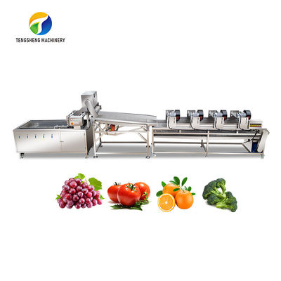 4.5KW 과일과 야채 취급 라인 진동이 장비를 배수합니다