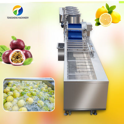 구분 생산 라인을 청소하고 말리는 시계풀의 열매 버블