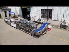 TS-M100 병렬 브러시 기계로 과일 및 채소 가공 라인을 한 단계 업그레이드하세요